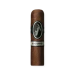 Davidoff Escurio Petit Robusto