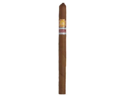 Saint Luis Rey Herfing Cigar (Ex. Medio Oriente 2017) - 24's